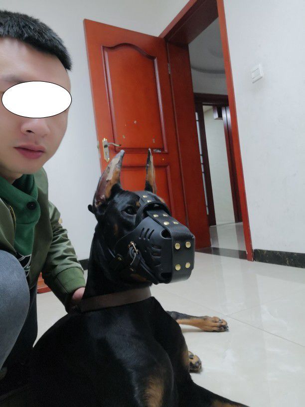 Anti Bite Cowhide Dog Muzzle Cover