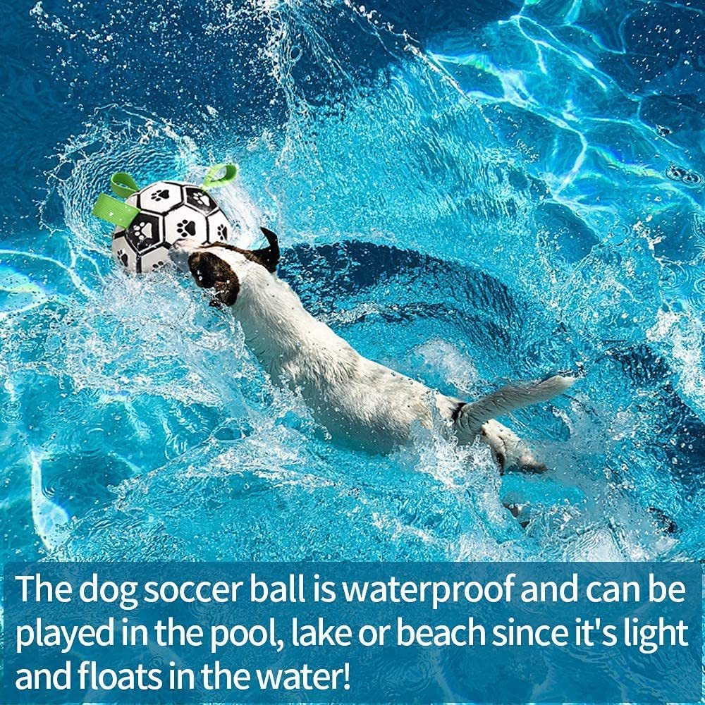 Interactive Dog Soccer Football Training Toy