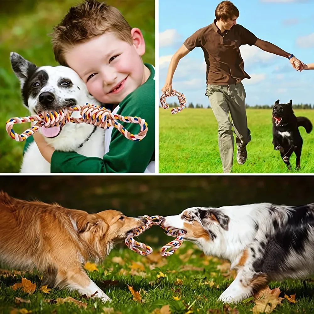 Grinding Cleaning Cat Dog Boredom Relief Toys