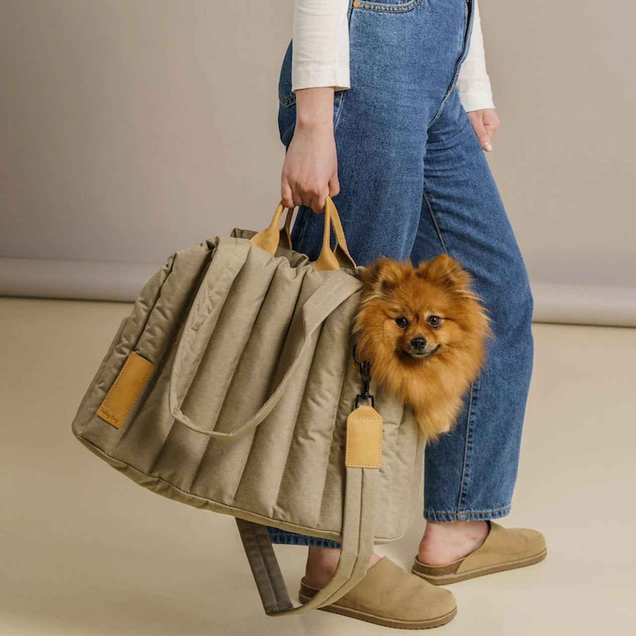 Waterproof Light Carrier Out Pet Handbag