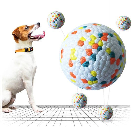 Interactive Pet Dog Molar Ball Training Toy