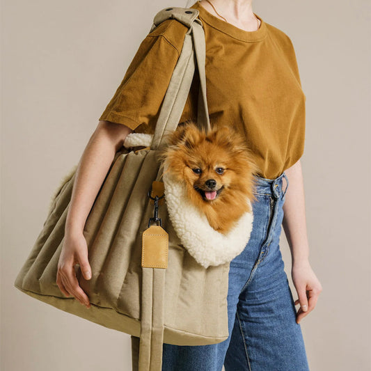 Waterproof Light Carrier Out Pet Handbag