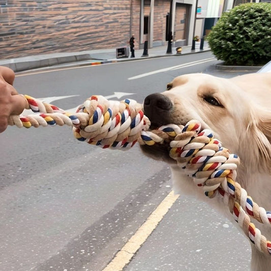 Grinding Cleaning Cat Dog Boredom Relief Toys