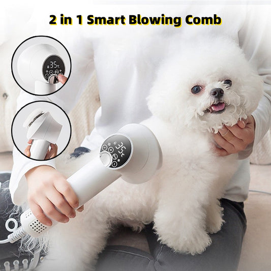 Smart Golden Retriever Pet Hairdress Blow & Comb
